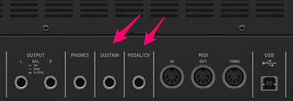 Entradas Sustain y Pedal/CV del Deepmind 12